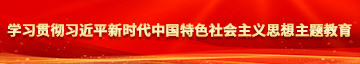 日B网操逼网αV学习贯彻习近平新时代中国特色社会主义思想主题教育