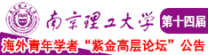 屄射精插视频南京理工大学第十四届海外青年学者紫金论坛诚邀海内外英才！